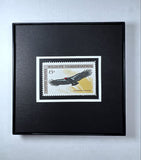 Condor 1971 Framed #1430