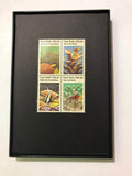 Coral 1980 Framed #1827