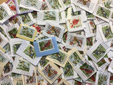 50 Winter bird postage stamps, Christmas, songbird craft supplies ephemera