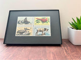 Wildlife 1972 Framed #1464+