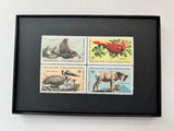 Wildlife 1972 Framed #1464+