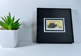 Bald Eagle 1970 Framed #1387