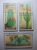 Cactus Magnets