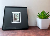 Conservation 1964 Framed #1245