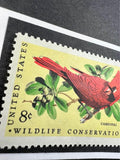 Cardinal Framed #1465