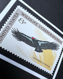 Condor 1971 Framed #1430