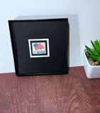 Flag Over White House Framed #1208