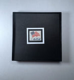 Flag Over White House Framed #1208