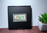 Cactus Desert Plant Framed #1942+