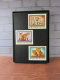 Baby Animals Framed