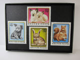 Baby Pets Framed