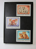 Baby Animals Framed
