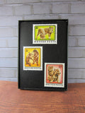 Baby Animals Framed