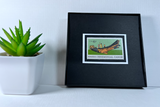 Haida Canoe Framed #1389
