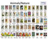 Wholesale Gifts & Collectibles