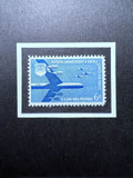 Air  Force 1957 Framed #C49