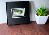 Alligator 1971 Framed #1428