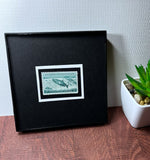 Salmon Framed #1079