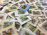 50 Winter bird postage stamps, Christmas, songbird craft supplies ephemera