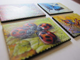 Australia Bug Magnets