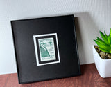 Daniel Webster Dartmouth 1969 Framed #1380