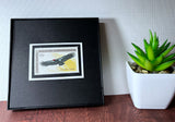 Condor 1971 Framed #1430