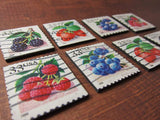 Berry Magnets