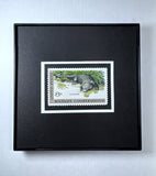 Alligator 1971 Framed #1428