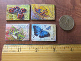 Australia Bug Magnets