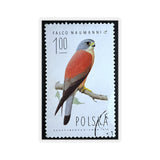 Bird of Prey Stamp Sticker