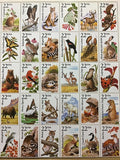 Wild Animal Keychains