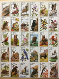Wild Animal Keychains