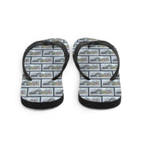 Dinosaur Flip Flops