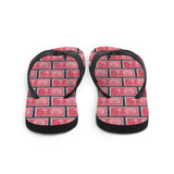 Alexander Hamilton Flip Flops