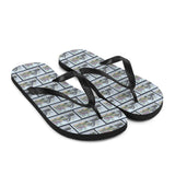 Dinosaur Flip Flops